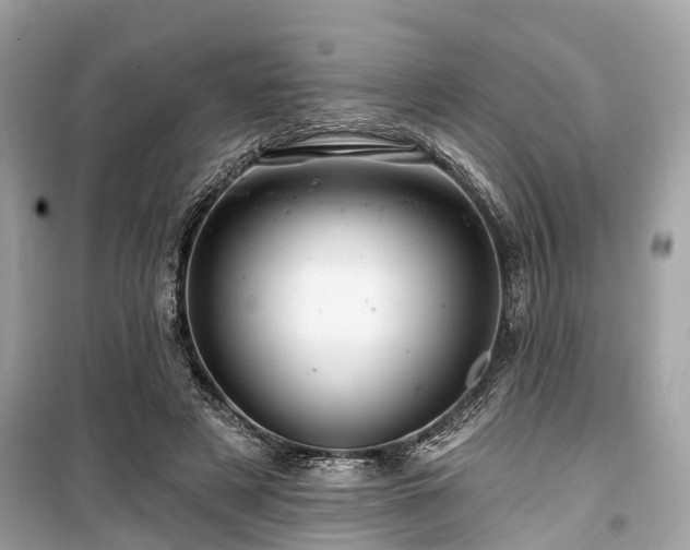 X0000099420497200805161049