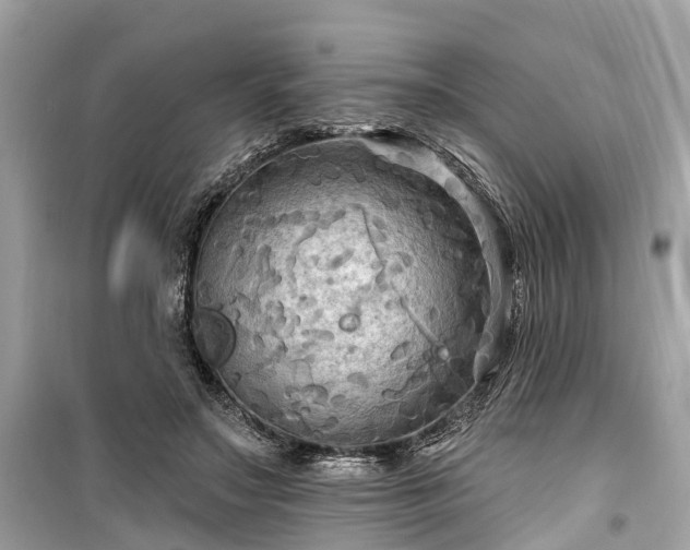 X0000099420499200805161049