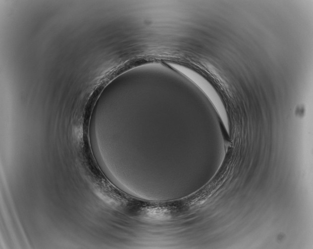 X0000099420500200805161049