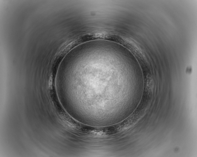X0000099420502200805161049