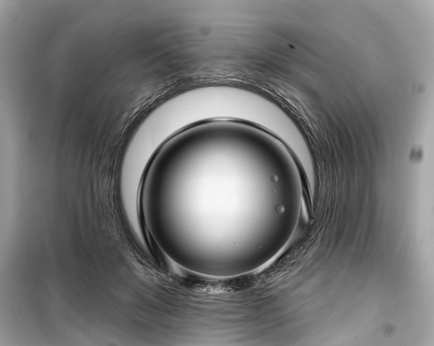 X0000099420503200805161049