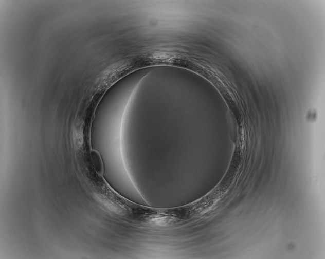 X0000099420504200805161049