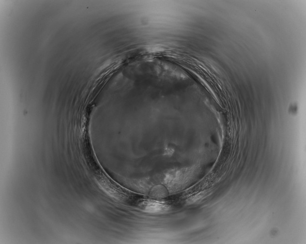 X0000099420507200805161049