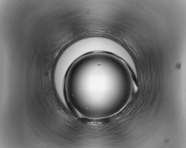 X0000099420508200805161049