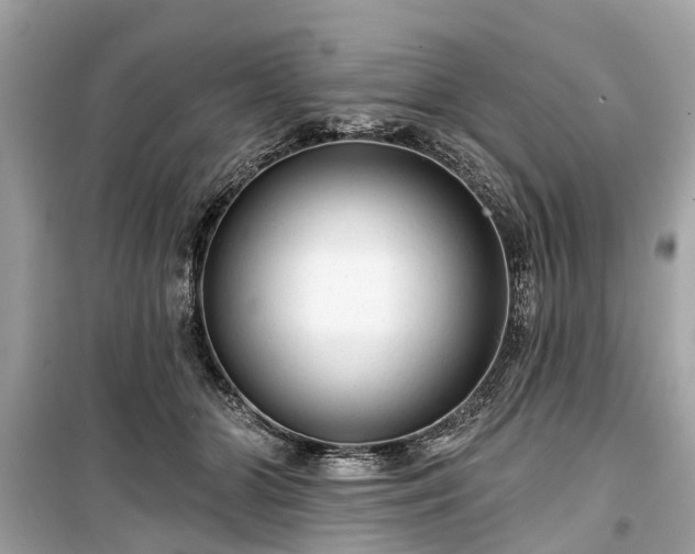 X0000099420510200805161049