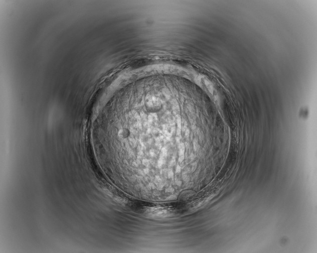 X0000099420511200805161049