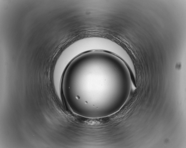 X0000099420512200805161049