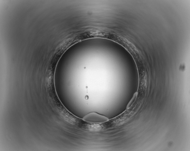 X0000099420513200805161049