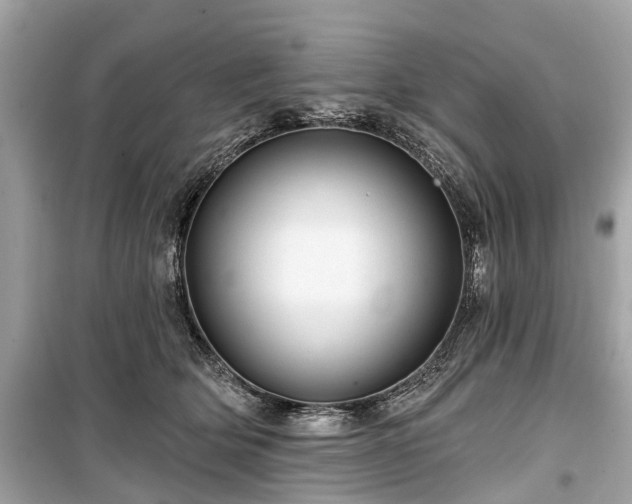 X0000099420514200805161049