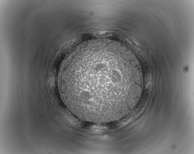 X0000099420515200805161049