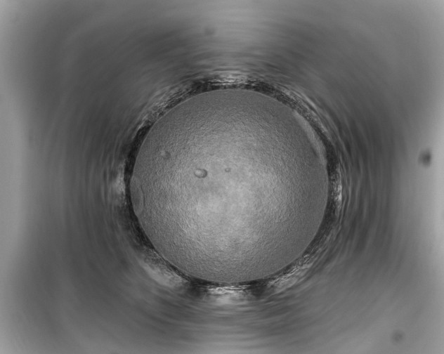 X0000099420516200805161049
