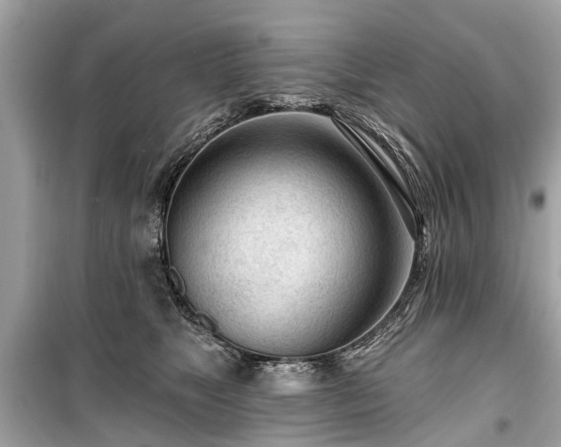 X0000099420517200805161049