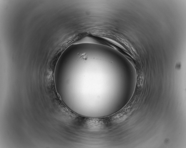 X0000099420521200805161049