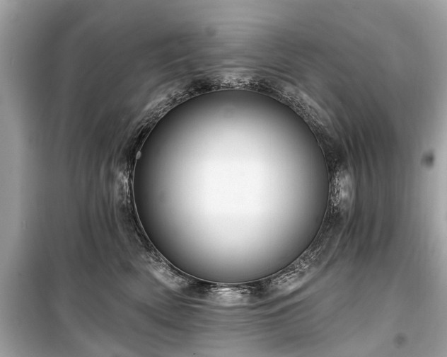 X0000099420522200805161049