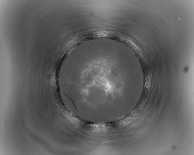 X0000099420524200805161049