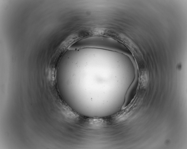 X0000099420525200805161049