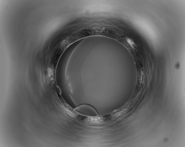 X0000099420526200805161049