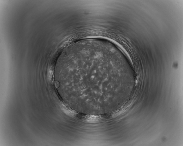 X0000099420527200805161049