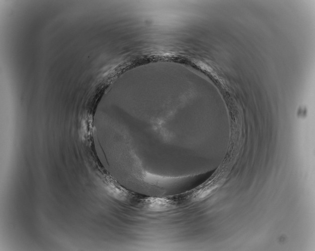X0000099420528200805161048