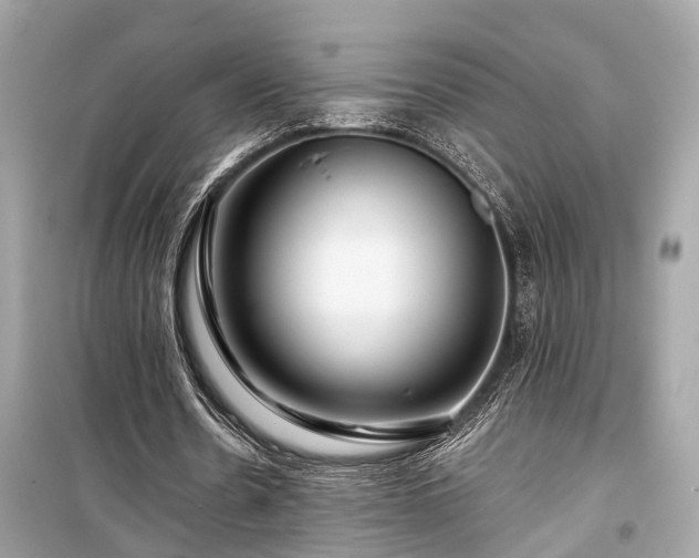 X0000099420530200805161048