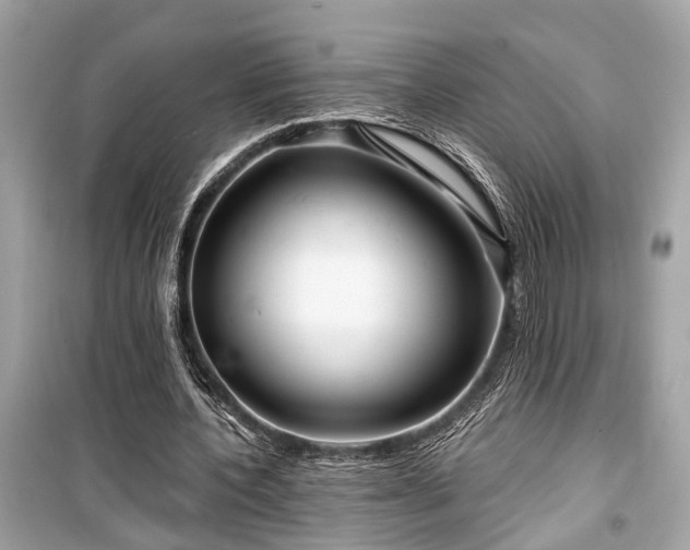 X0000099420532200805161048