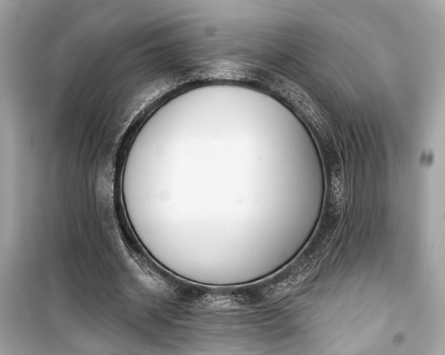 X0000099420534200805161048