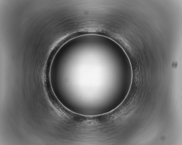 X0000099420536200805161048