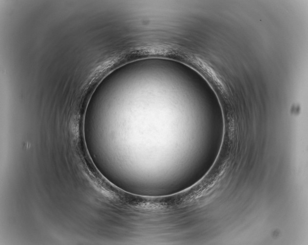 X0000099420537200805161048