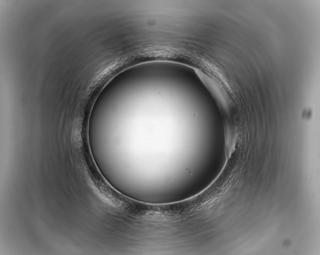X0000099420538200805161048