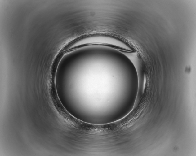X0000099420540200805161048