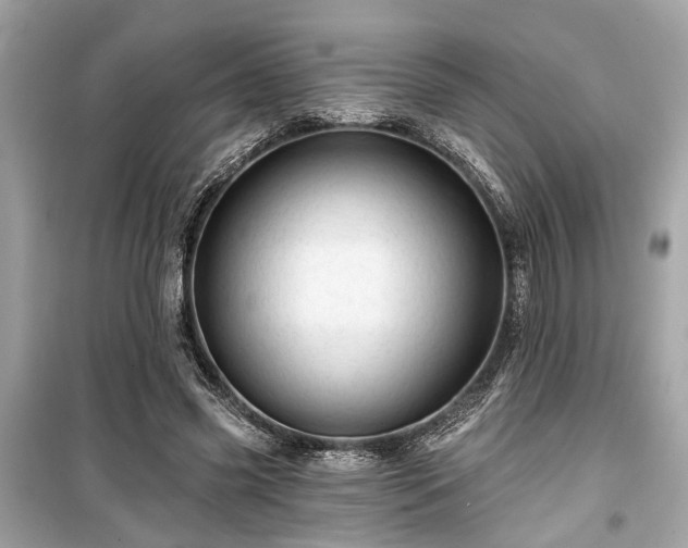 X0000099420541200805161048