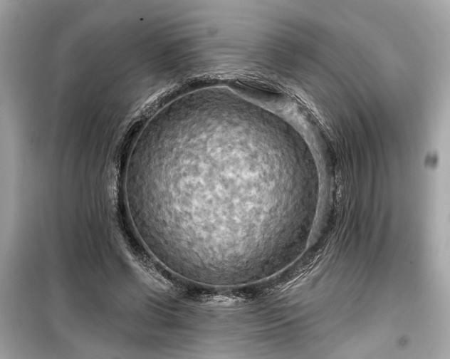 X0000099420542200805161048