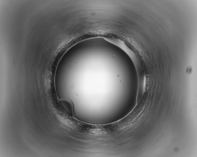 X0000099420544200805161048
