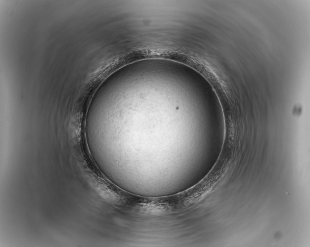 X0000099420545200805161048