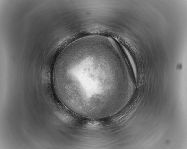 X0000099420547200805161048