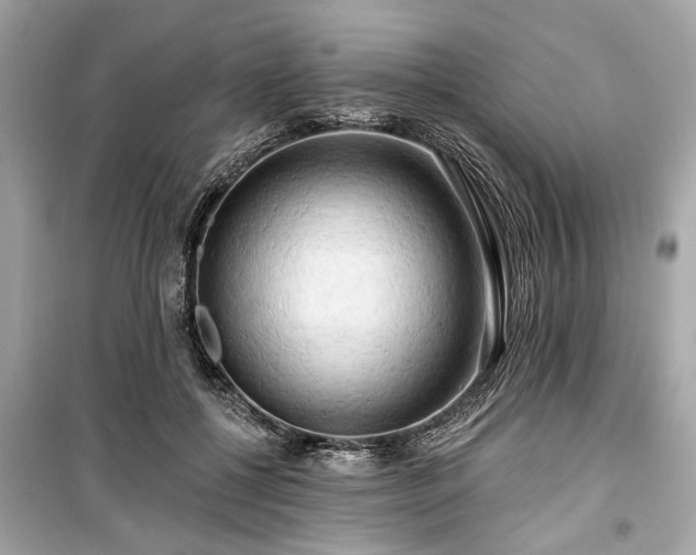 X0000099420552200805161048