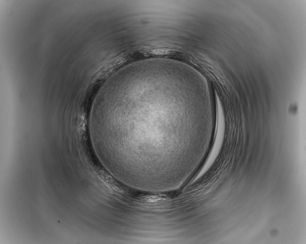 X0000099420555200805161048