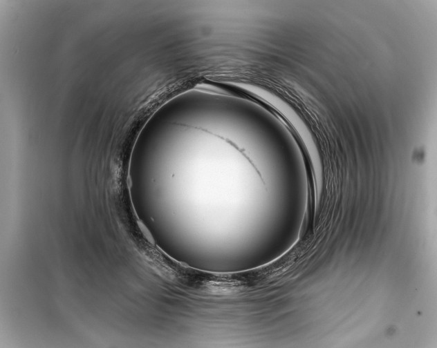X0000099420556200805161048