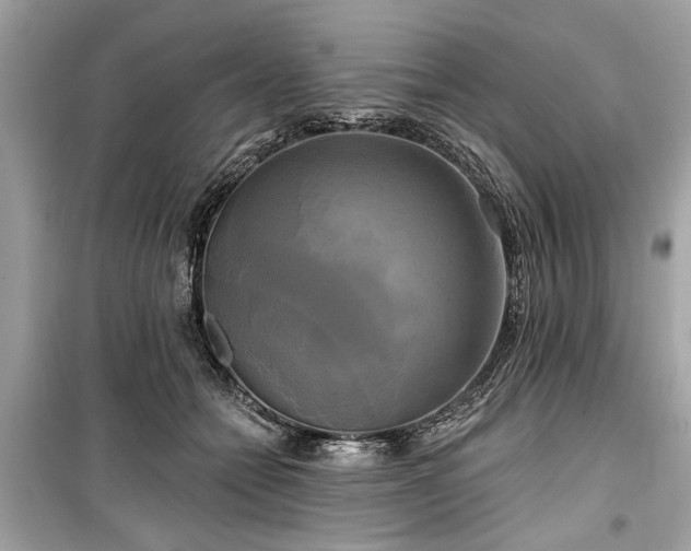 X0000099420558200805161048