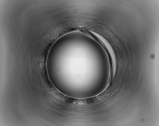 X0000099420559200805161048