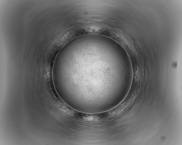 X0000099420561200805161048
