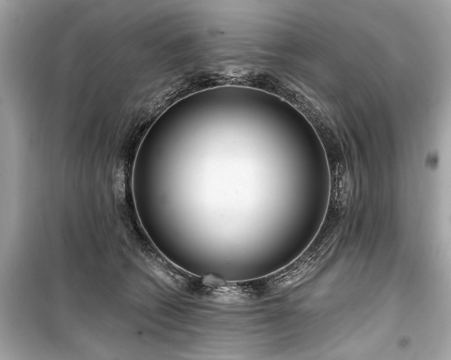 X0000099420562200805161048