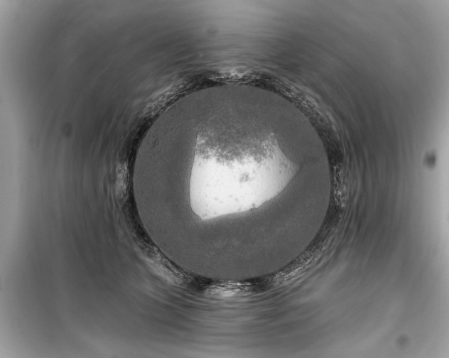 X0000099420563200805161048