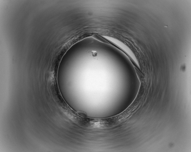 X0000099420564200805161048