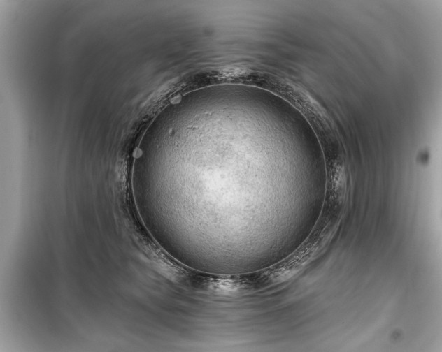 X0000099420565200805161048