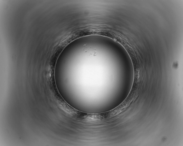 X0000099420567200805161048