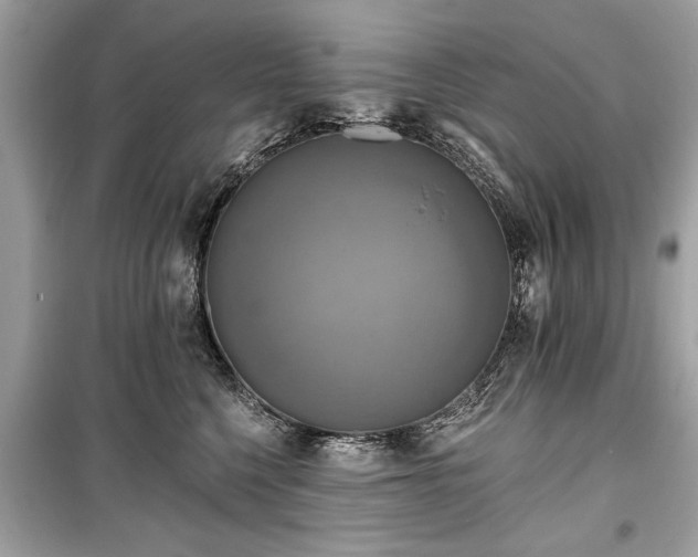 X0000099420568200805161048