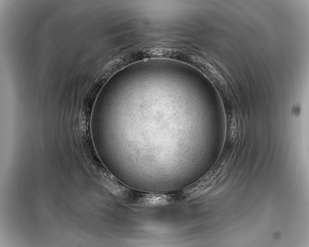 X0000099420569200805161048