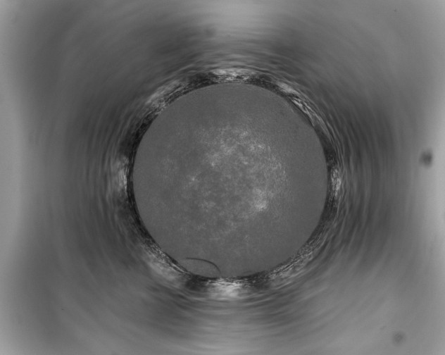 X0000099420570200805161048