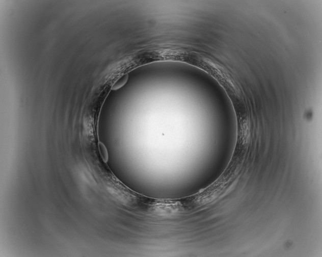 X0000099420571200805161048